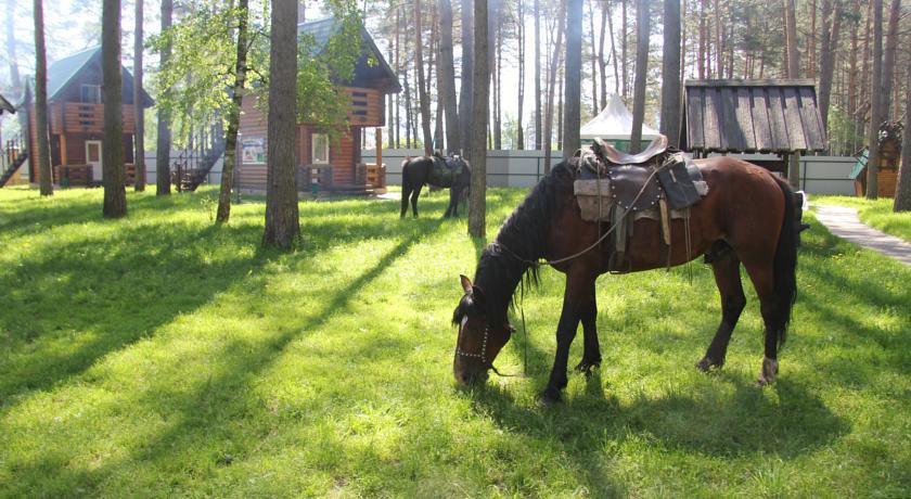 Гостевой дом Усадьба Кругловых Чепош