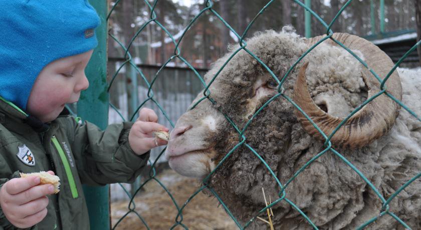 Гостевой дом Усадьба Кругловых Чепош-26