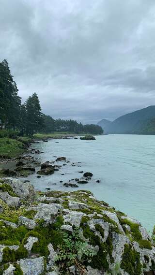 Гостевой дом Усадьба Кругловых Чепош-3